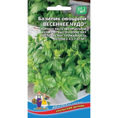 Seed packet of basil named «SPRING MIRACLE» with leaf imagery