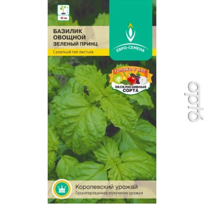 Seed packet of basil 'Green Prince' with leaf imagery