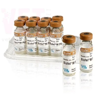 Ампулы препарата Biofil-M в прозрачной упаковке - Биофил Соя