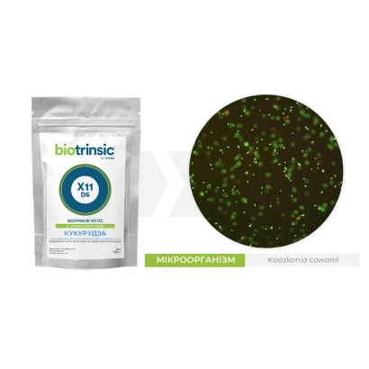 Пакет с биопродуктом Биотринсик Х11 ПС и увеличенное изображение микроорганизмов