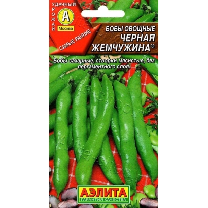 Seed packet of Black Pearl beans with pod illustration