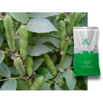 Bag of beans on plant background - UZUNOVSKIE