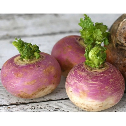 Fresh Brigantina turnips on a wooden surface