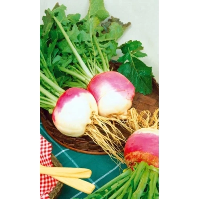 Свежие брюквы с зеленью на деревянной тарелке - Русская