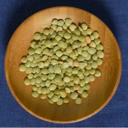 Чечевица в деревянной тарелке на синем фоне - ПЕТРОВСКАЯ ЗЕЛЕНОЗЕРНАЯ