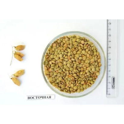 Lentils in a glass bowl with label ВОСТОЧНАЯ - Eastern