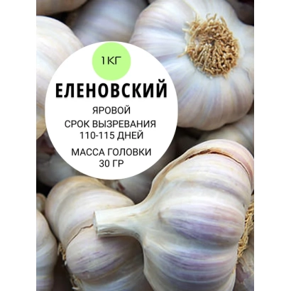 Мешок чеснока сорта Еленовский, вес 1 кг - Демидовский