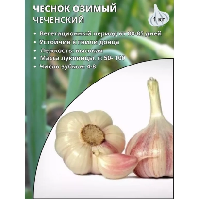 Пакет семян чеснока озимого Чеченский с изображением головок чеснока - Император