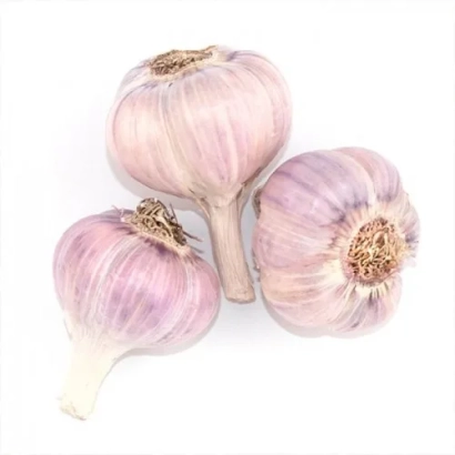 Три головки чеснока на белом фоне - Ирен