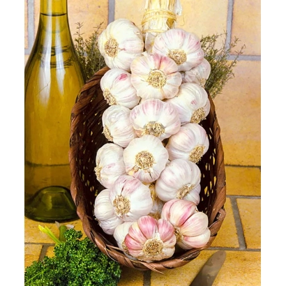 Головки чеснока в корзине на фоне бутылки и зелени - Лосевский