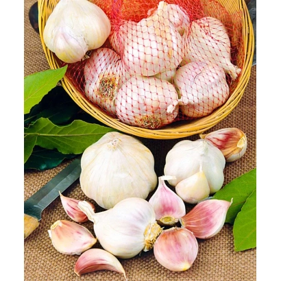 Головки чеснока в корзине и на ткани - Новгородский