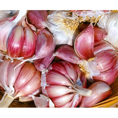 Головки чеснока сорта Петровский