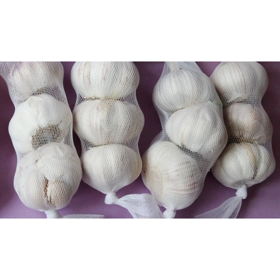 Сетка с головками чеснока - Поднебесный