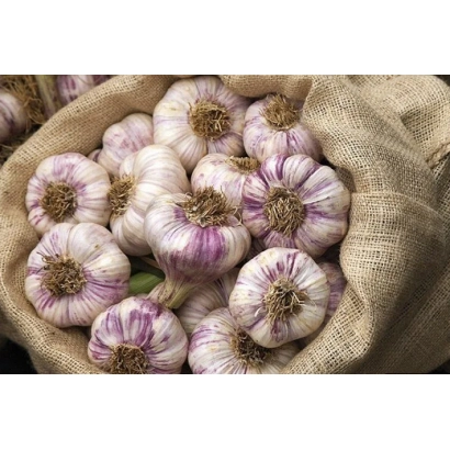 Головки чеснока в мешке - Редалиум