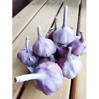 Гармошка чеснока на деревянной поверхности - ЮБИЛЕЙНЫЙ 07