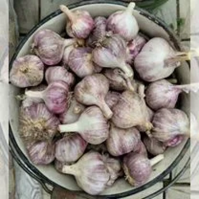 Горсть чеснока в металлической корзине - ЮРГА