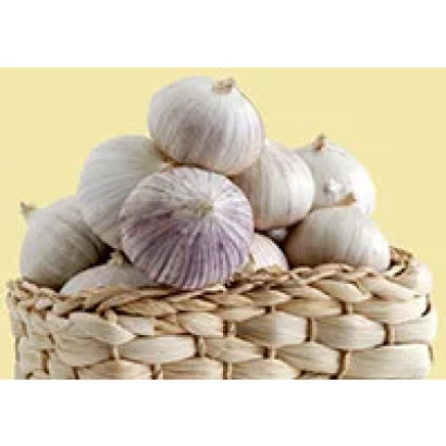 Горка чеснока в плетёной корзине на жёлтом фоне - Вятский