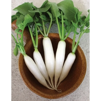 Свежие дайконы в деревянной миске - КАКАДУ