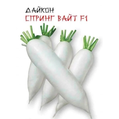 Daikon Spring White F1