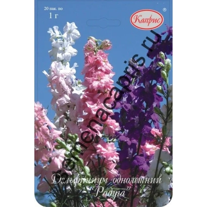 Семена дельфиниума сорта Радуга на фоне цветущих растений