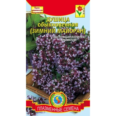 Пакет семян Душицы обыкновенной (Зимний палор) - ЗИМА