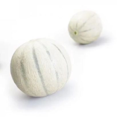 Two melons on a white background - Agustino