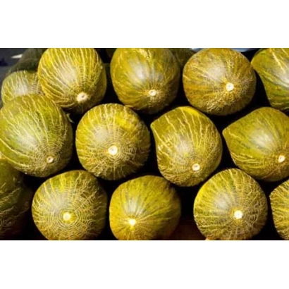 Pile of Arenales melons