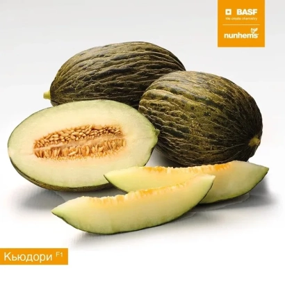 Melon Kyudori with sliced piece and whole fruits on white background
