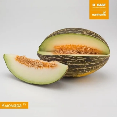 Sliced Kyumara melon on white background