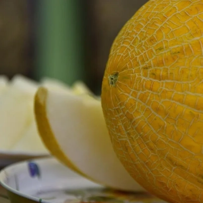 Кусок дыни Каламиты с нарезанными дольками на блюде - КАЛАМИТА