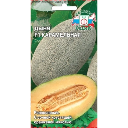 Семена дыни Карамельная на зеленом фоне