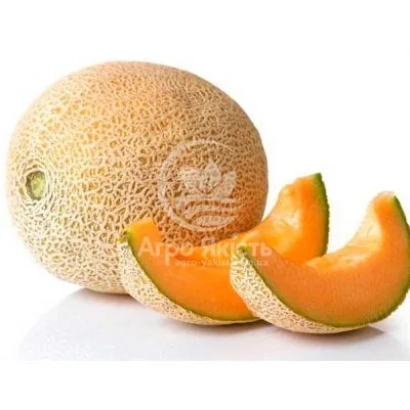Whole melon with sliced wedges on white background - Karameza