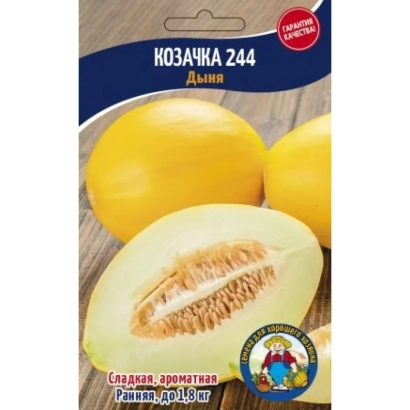 Seed packet for melon KAZACHKA 244 with image of ripe fruit