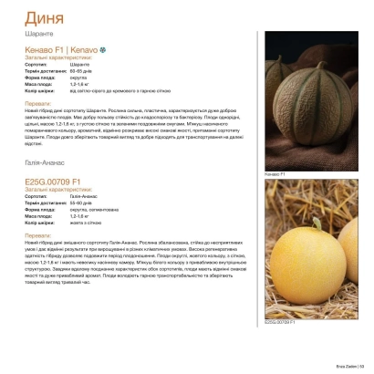 Document describing the melon variety Kenavo