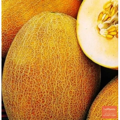 Close-up of a Luna melon with a slice showing seeds