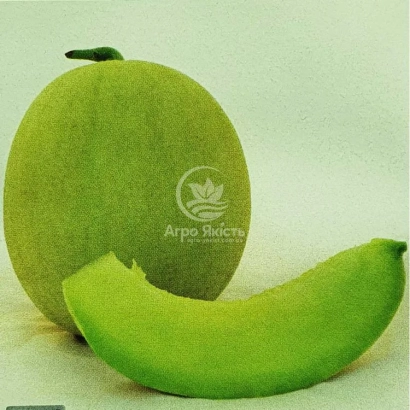 Зеленая дыня с нарезанным куском и логотипом Arpo Seeds - Мира F1