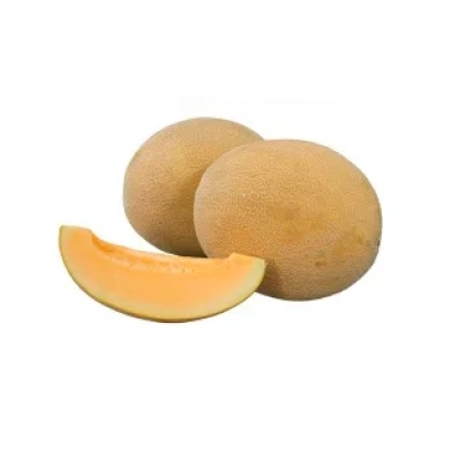 Melon with a sliced piece on white background - Robust F1