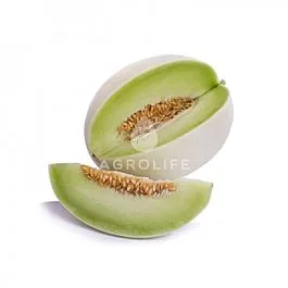 Sliced melon with seeds on white background, brand AGROLIFE - Sanvicente