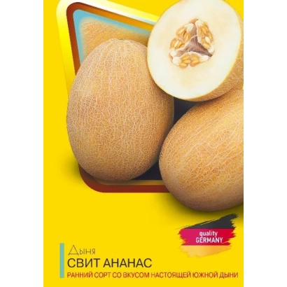 Switti Ananas melon variety on yellow background