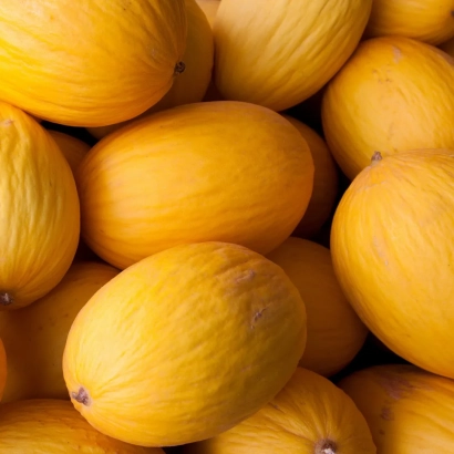 Куча желтых дынь - Талант