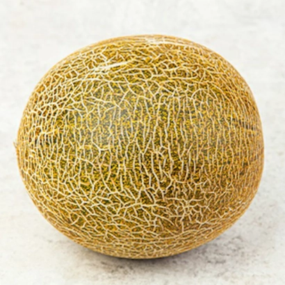 Winter melon on light background