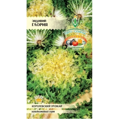 Семена эндивия сорта Глория на упаковке