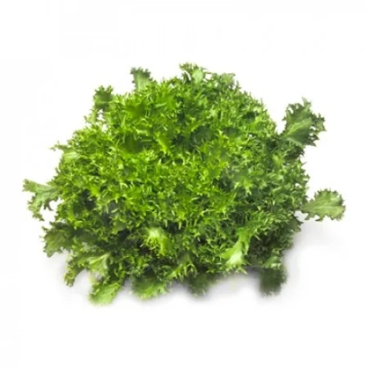 Свіжий ендівій на білому фоні - Сигал