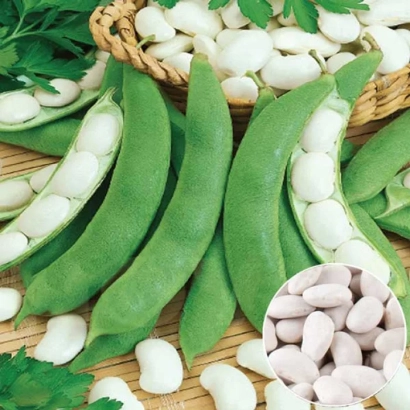 Фасоль Ясочка в стручках и зернах на деревянной поверхности
