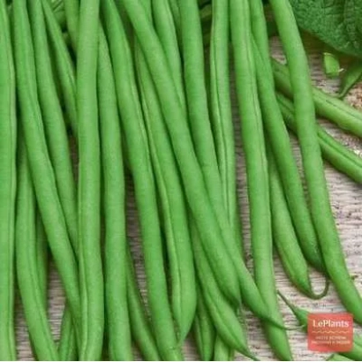 Свежая фасоль на деревянной поверхности - Диалог