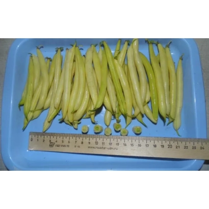 Федосеевна