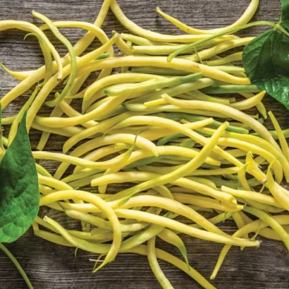 Yellow string beans on a wooden surface with green leaves - Golden Goal