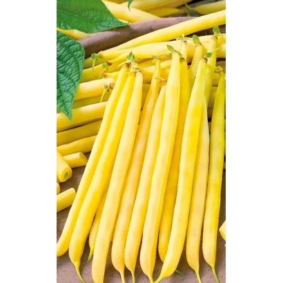 Желтая фасоль на деревянной поверхности с зеленым листом - КЛАВДИЯ