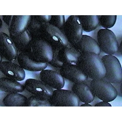 Чорні боби на світлому фоні - ЛУКЕРЯ