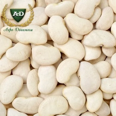 Белые фасоль Ада-Донская - Надия